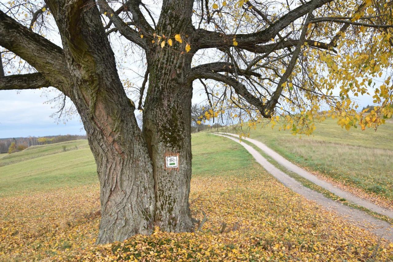 Апартаменты Wigierski Park Narodowy Сувалки Экстерьер фото