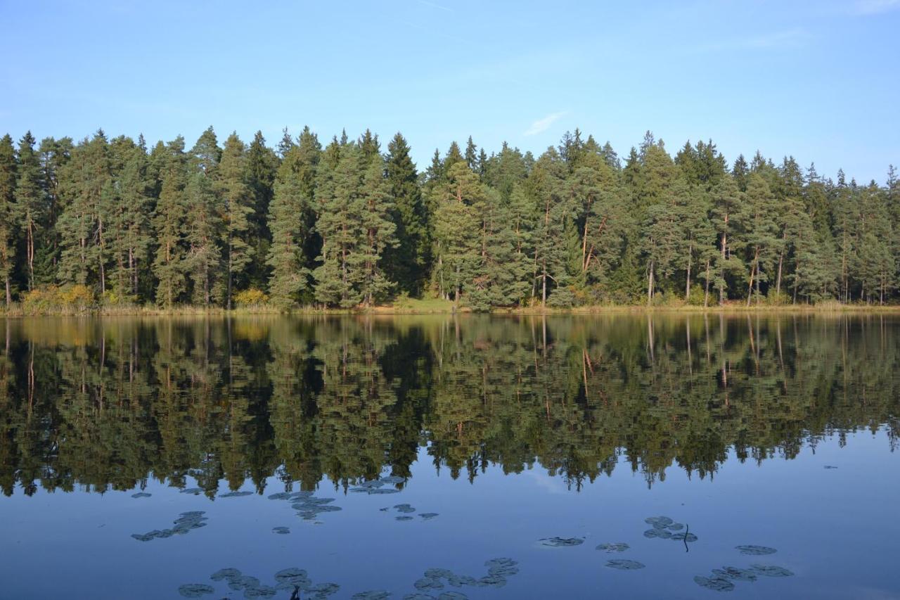 Апартаменты Wigierski Park Narodowy Сувалки Экстерьер фото